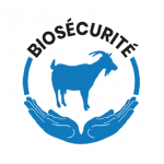 Bonnes pratiques de biosécurité caprine