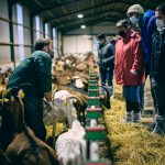 Retour sur la formation « L’éleveur, premier infirmier de sa chèvre » des 9 et 14 Décembre 2021