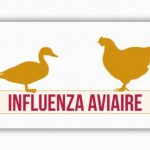 Zone réglementée Influenza Aviaire dans le Maine-et-Loire – MAJ du 31/03/2022