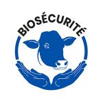 Formation biosécurité bovine