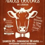 Concours Race bovines – Lisieux (14)