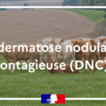 DNC : Ajustement du périmètre de la zone vaccinale et renforcement de la gestion des mouvements / 12.12.2025